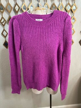 NWT Fate Ribbed Crewneck Sweater